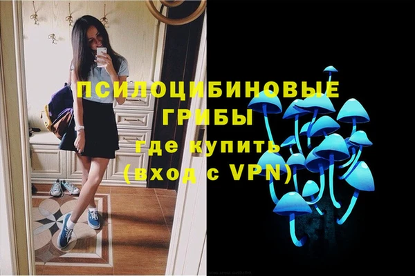 амф Зеленокумск