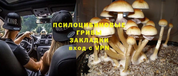 амф Зеленокумск