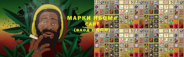 амф Зеленокумск